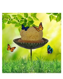 Natural Sponge & Ceramic Butterfly Feeder