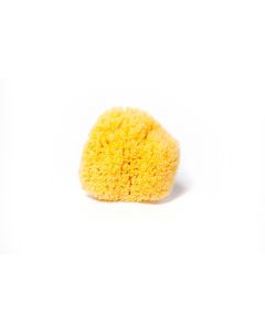 Grass Sea Sponge Cuts-4.5-5