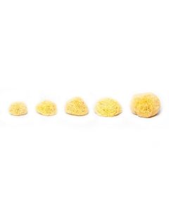 Grass Sea Sponge Forms-5-6