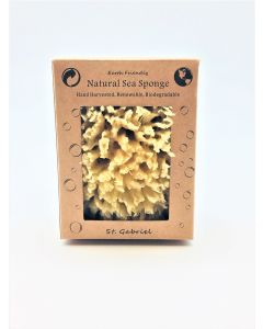 Natural Sea Sponge 2-3