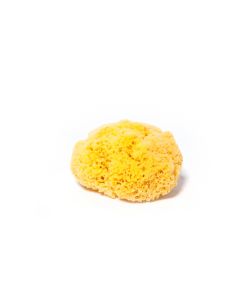 Yellow Sea Sponge Cuts
