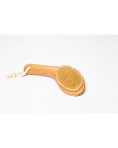 Small curved body brush